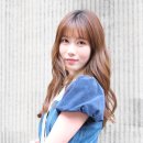 포레스트 이미지