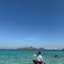 낙원비치하우스 | 태국 여행 파타야 호핑 투어 꼬사메산 니모섬 스노클링 후기