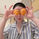 JW marriott jeju resort & spa | 제주 | 서귀포 JW메리어트 제주 리조트&amp;스파 조식 브런치 후기