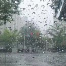 예꼬어린이집 이미지