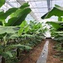 주식회사 제이디 이미지