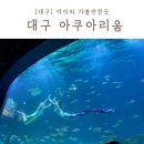 대구 아쿠아리움 가격 할인 통신사 카드 신세계 인어 공연시간