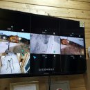 시온CCTV 이미지