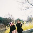 가고싶은나들이