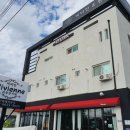 파충류카페 비비안 이미지