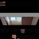매물번호:100-19,토지면적5,405㎡(1,635평)건평92.32㎡(28평)주택,토지포함3.3㎡12만원,급매 이미지
