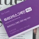 파라다이스한결 | 파라다이스그레인 추천 후기 휴가철 체중 관리하며 비교한 기준