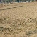 득량면행정복지센터 이미지