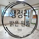 향남읍 행정리 503-1 이미지