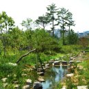 푸른수목원 이미지