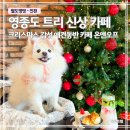 온앤오프 | 인천 영종도 신상 애견동반 카페 온앤오프｜트리 카페 후기