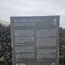 바다부동산중개 이미지