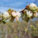 산막골농장 이미지