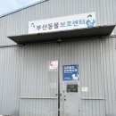 수원시동물보호센터정문 | 부산동물보호센터 26년 4월 3째주 주말 봉사 후기/ 1365 봉사 신청 방법