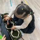 아토바이올린스튜디오음악교습소 네이버블로그