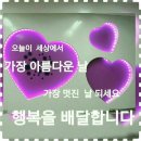 예쁜하루