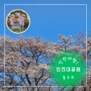 장수원가든 | 인천대공원 벚꽃축제 (일정 : 홍진영 등 출연진) 4월 개화 데이트 장소 + 맛집 카페(리스트) 추천