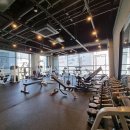 아리스휘트니스 이미지