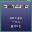 영조모터스 이미지