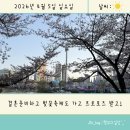개나리주유소 | 2026.04.05 : 결혼준비하고 벚꽃축제도 가고 프로포즈 받고!