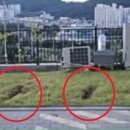 "주변 상황 봐가며 구급활동 해라"..환자 구하러 온 구급차에 "잔디 망가졌다" 민원한 아파트 이미지