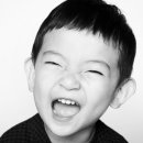 라이크스프링 이미지