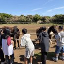 봉래초등학교 | 초등학교 수학여행 제주 봉래초 실사례, 여름 예약 전 필독