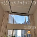 코지리빙