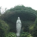 수원-0617 이미지