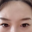바비윤살롱