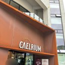 만덕 | [부산 만덕] 카엘리움 만덕 대형카페 내돈내산 후기