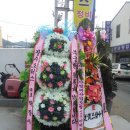 봉암동255 이미지