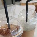 뽀도독 애견 카페 이미지