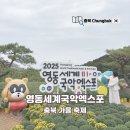 영동유리 | 충북 가을 축제 가볼만한곳 2025 영동세계국악엑스포 방문 후기