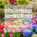 풍산농장 | 천안시산림조합 임산물유통센터｜화분, 꽃구매, 모종구매 가능 천안화훼농원 추천