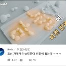 다진농장 이미지