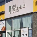 THE DOG SALON 이미지