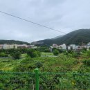 수안보관광안내소 이미지