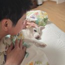 쓰담