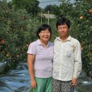 조안 농장 이미지