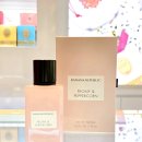 peony 이미지