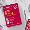 씨솔