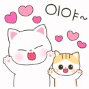 (유)소이 이미지