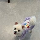 델루나 관광펜션 이미지