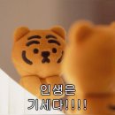강인목장 | 찰칵, 6월의 순간