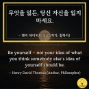 소로3-100 이미지