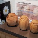 나은 강아지나라 이미지