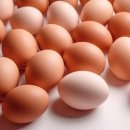 신선헬스 이미지