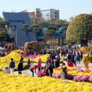 국향한우 이미지