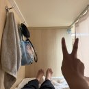 동그리여행사 | 울릉울릉 울릉 아일랜드 ~